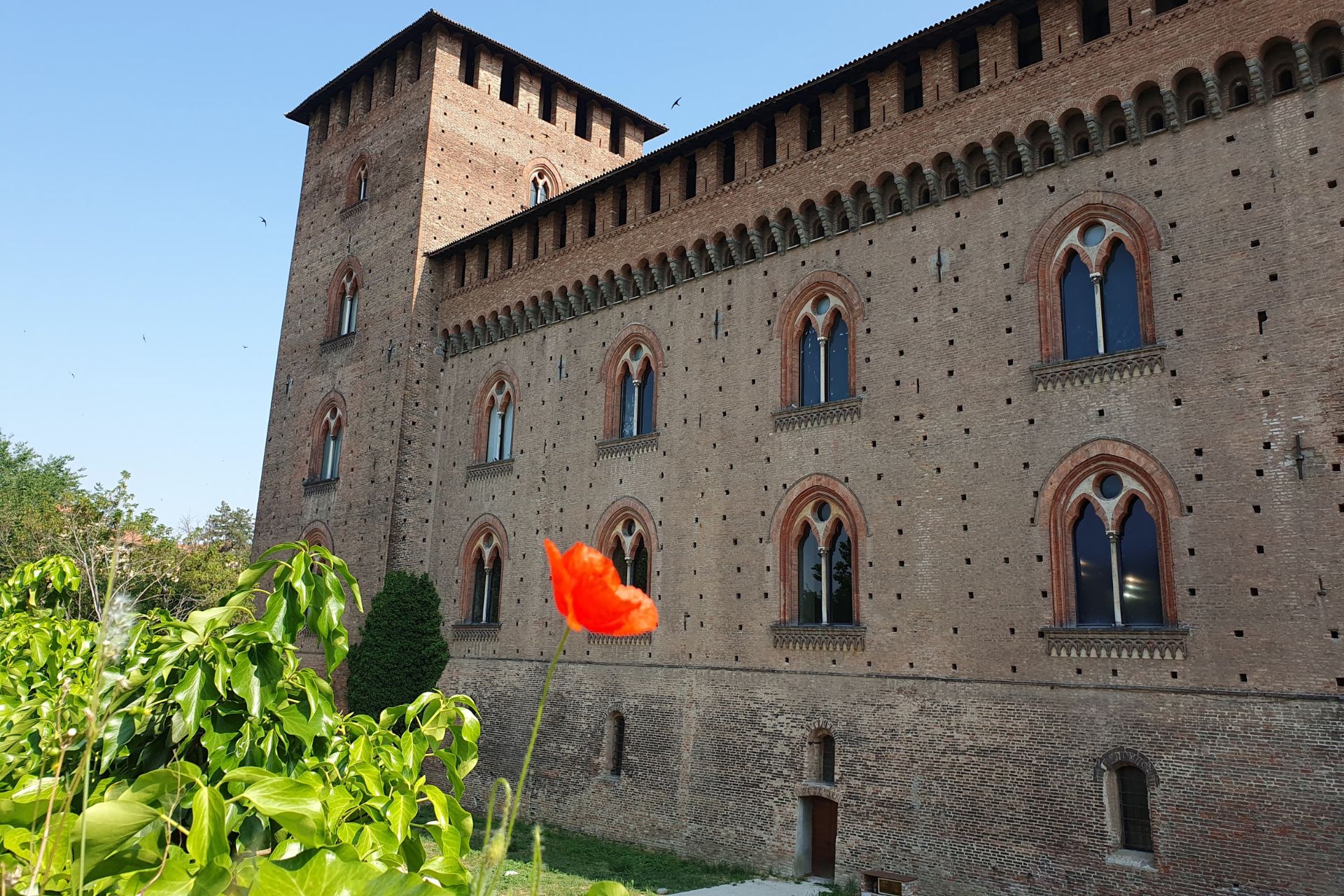 Visita guidata Castello Visconteo Pavia