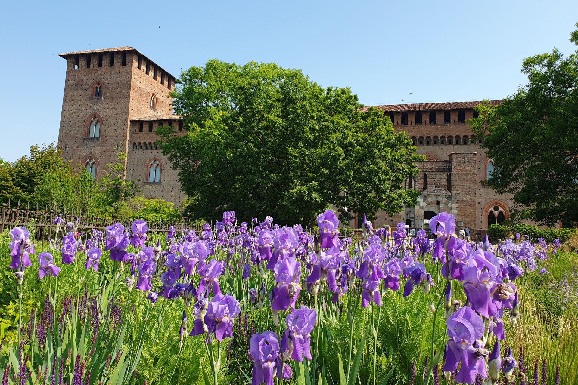 Visita guidata Castello Visconteo Pavia
