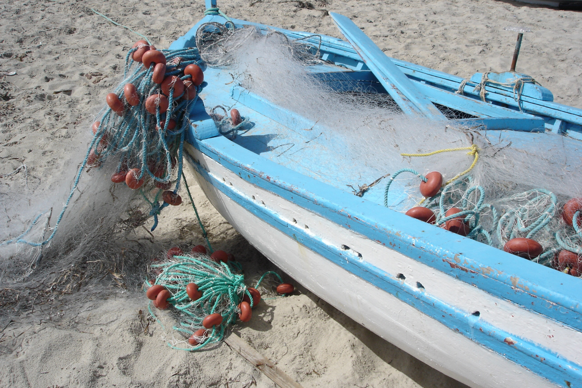 Visita guidata Genova Fabrizio de Andrè