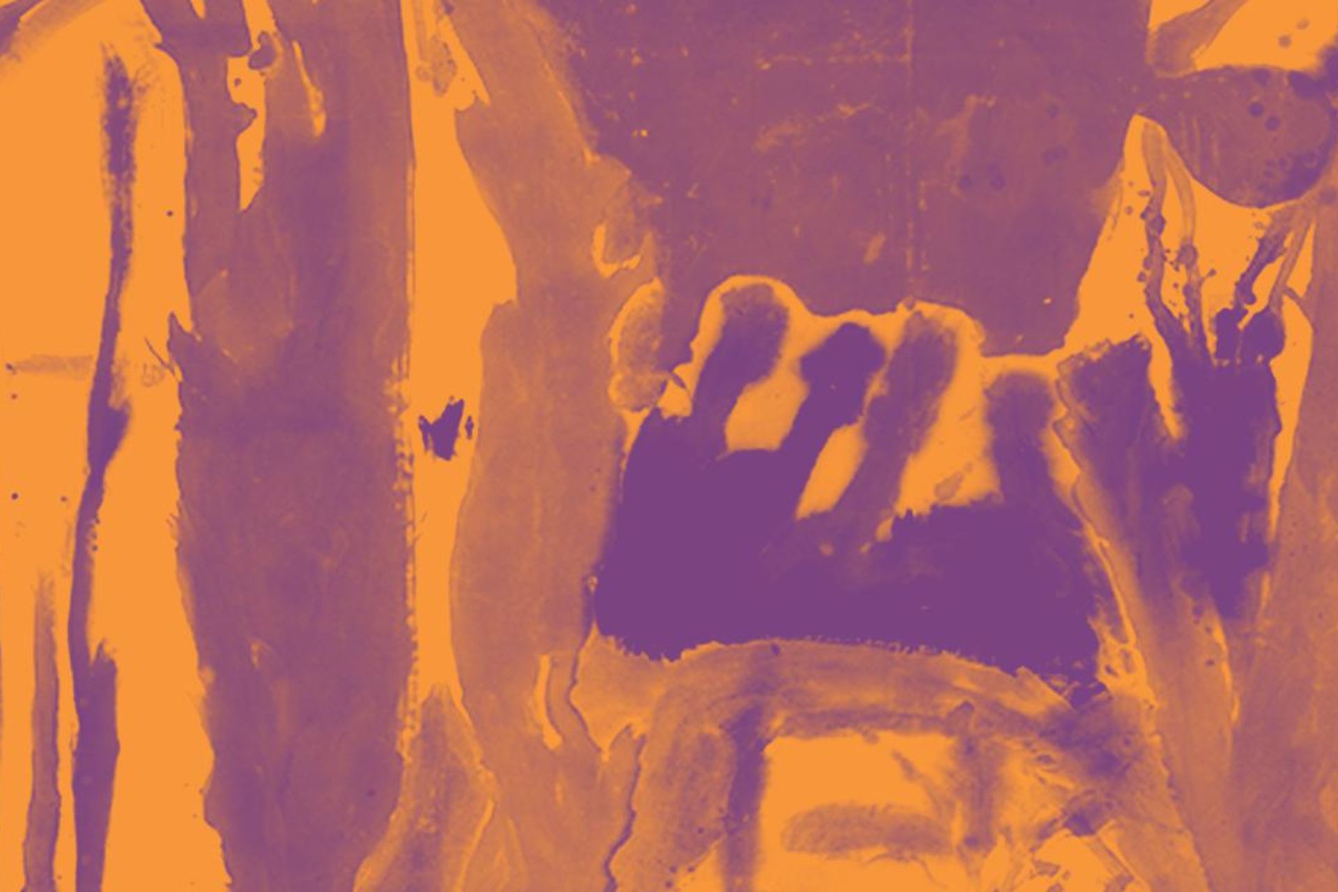 Visita guidata Mostra Frankenthaler Firenze