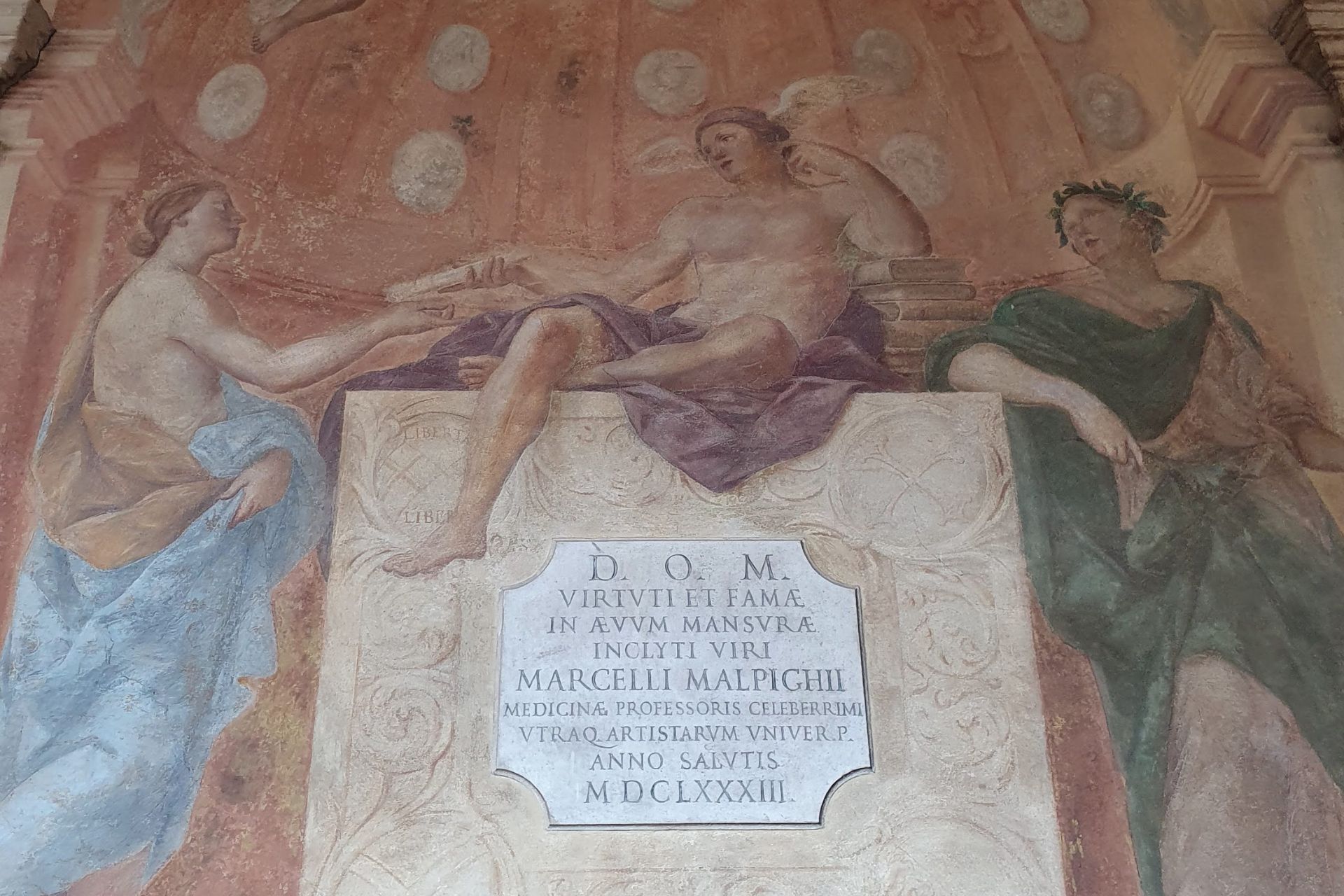 Visita guidata Bologna Archiginnasio