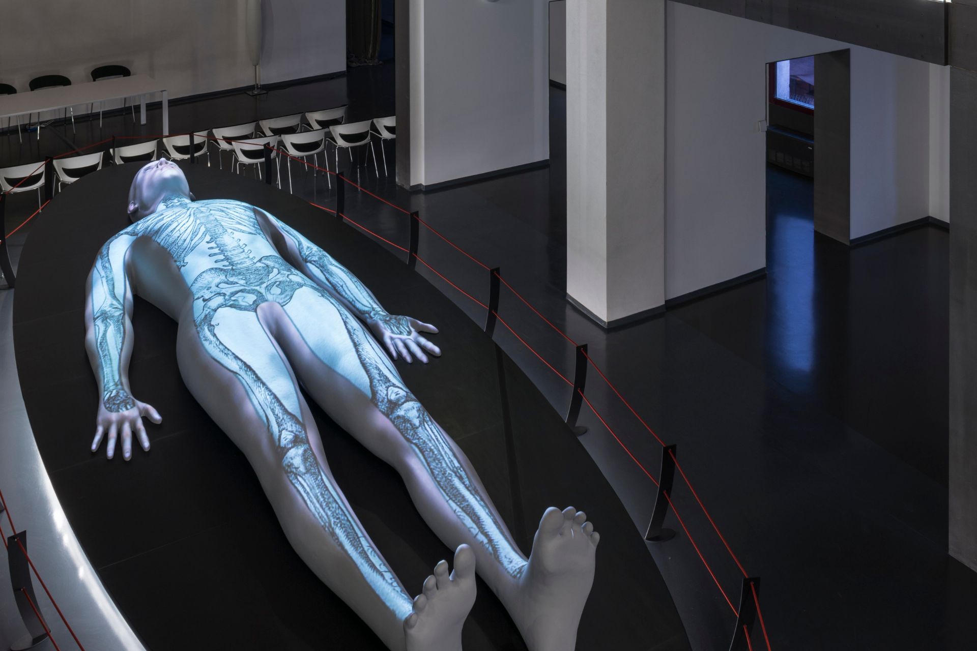 LA PADOVA DI GALILEO E IL TEATRO ANATOMICO