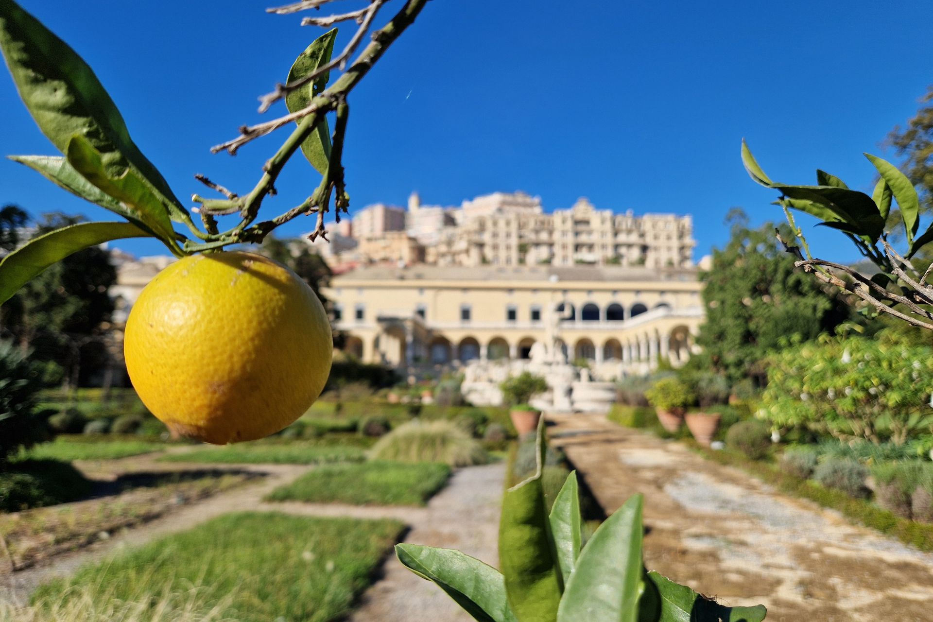 Palazzo del Principe