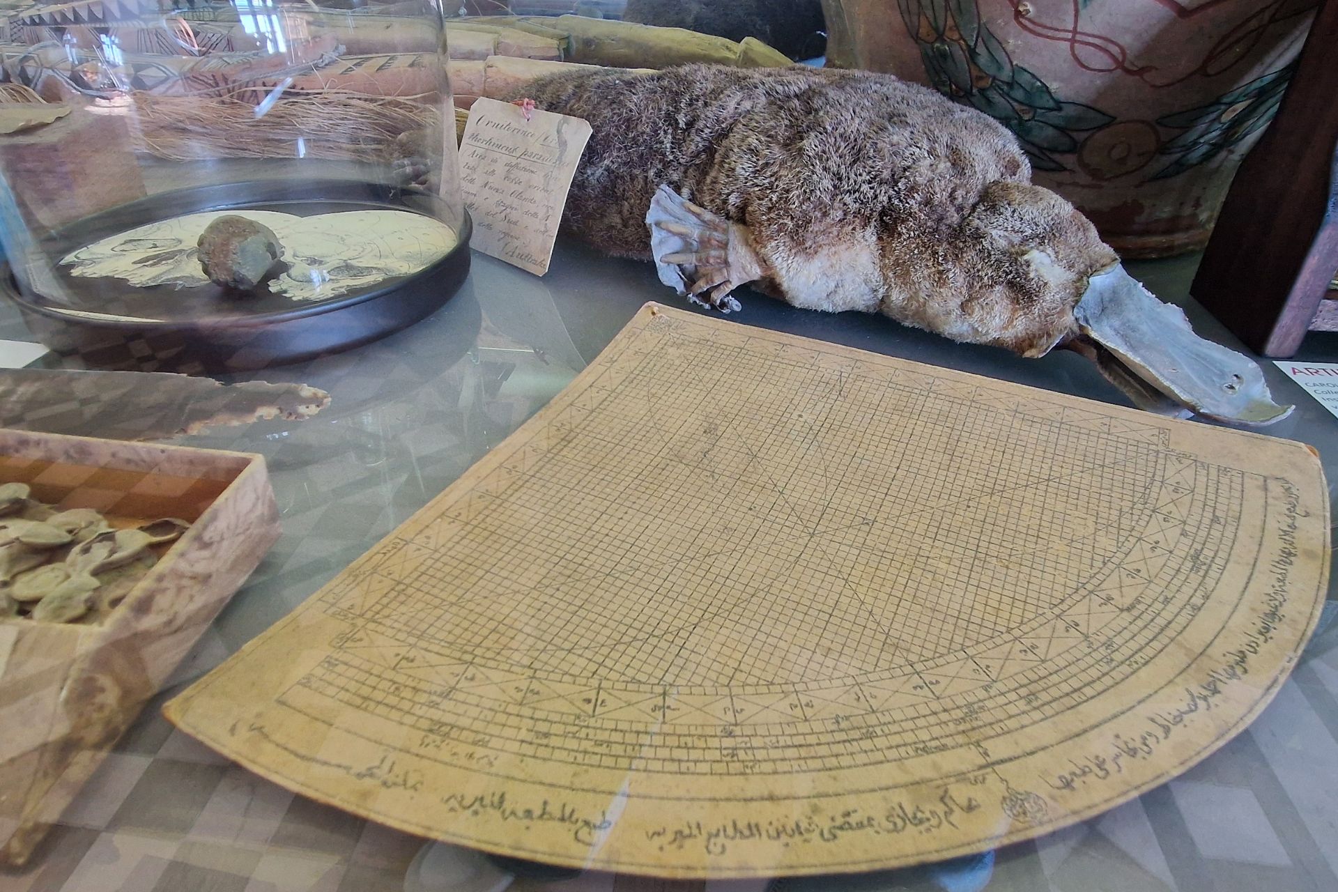 Castello d’Albertis