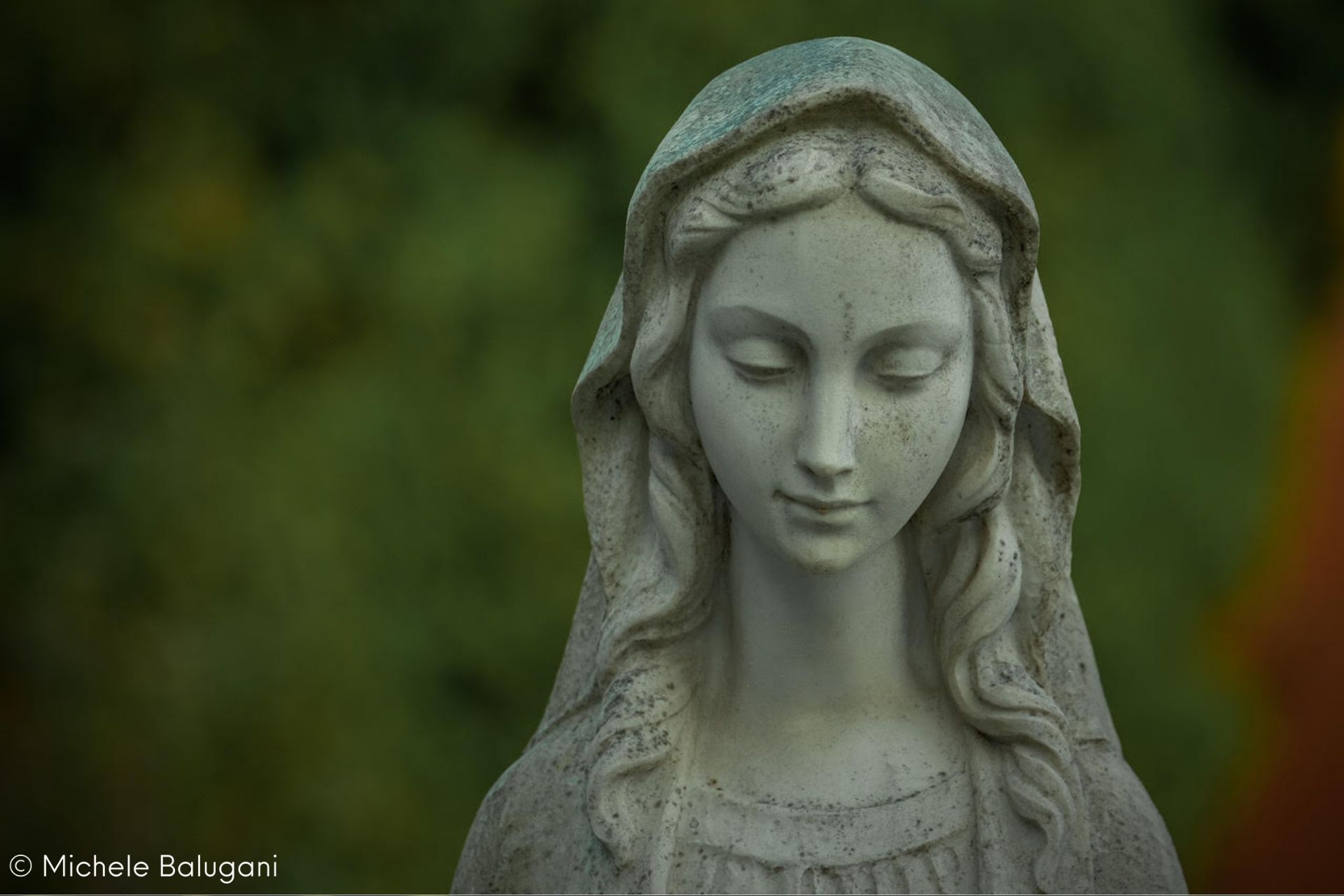 Certosa di Ferrara Cimitero
