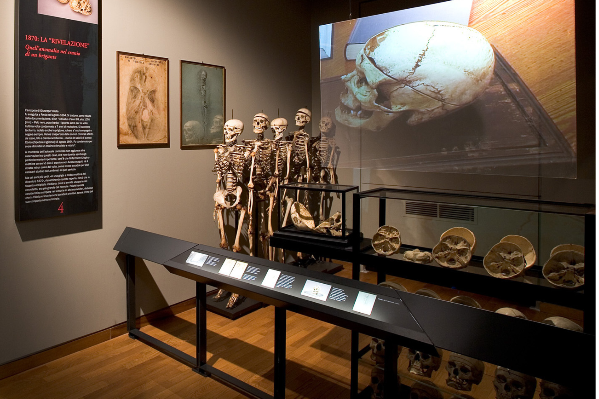 Museo Cesare Lombroso