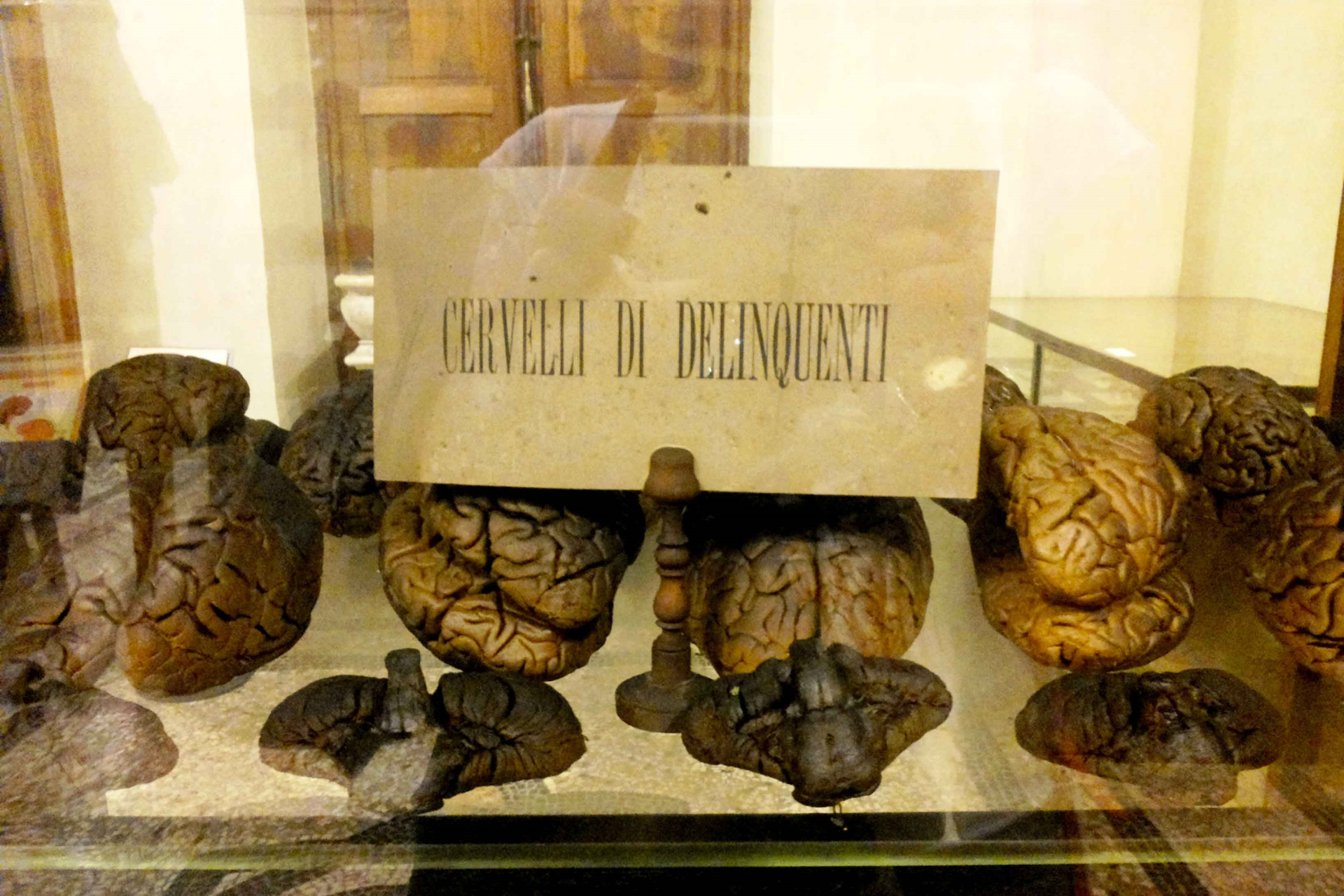 Museo Cesare Lombroso