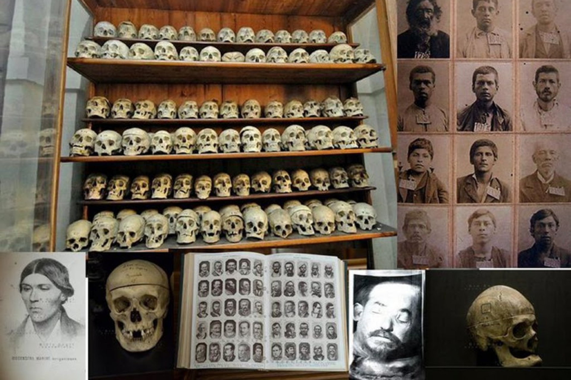 Museo Cesare Lombroso