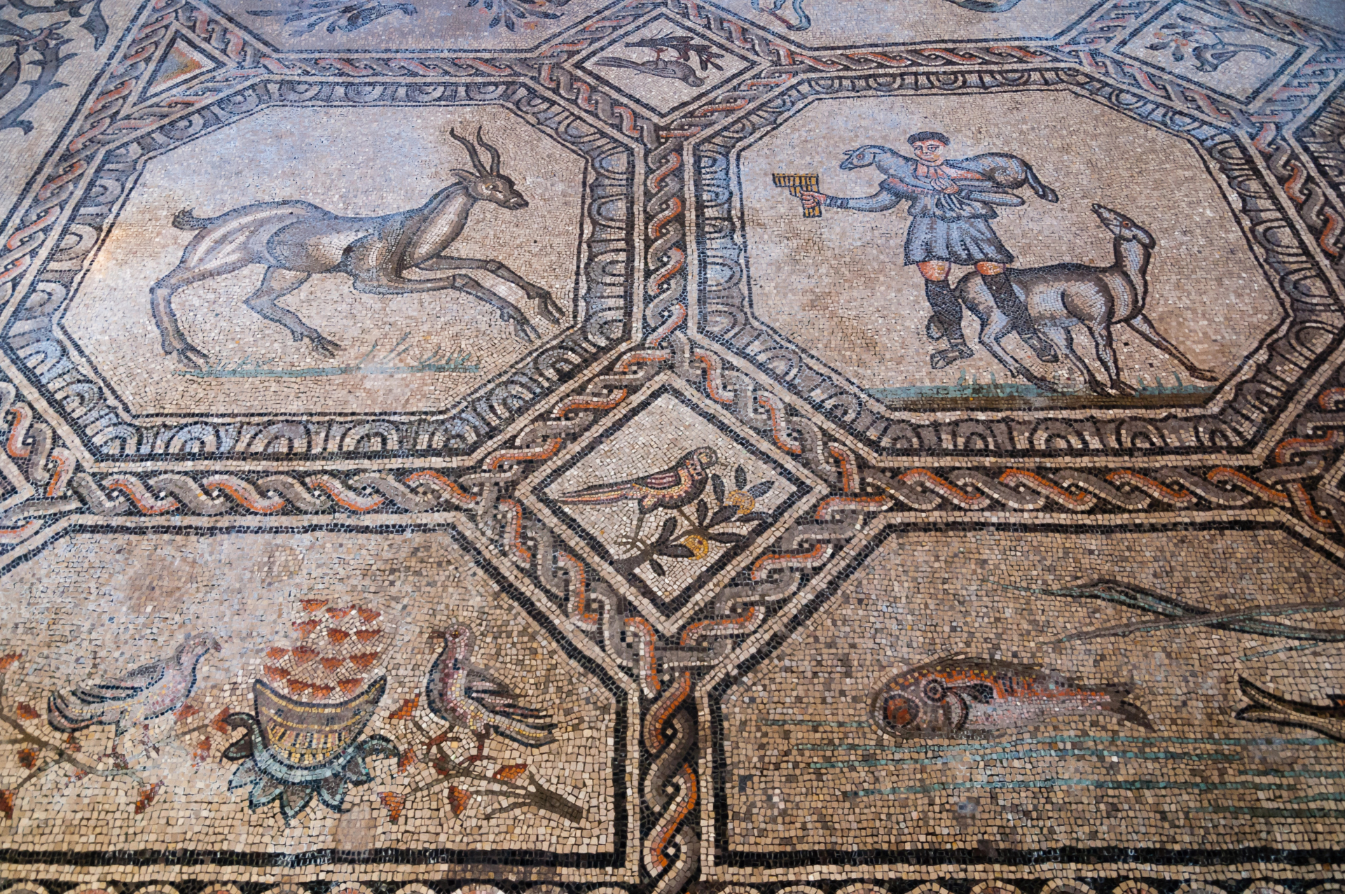 Basilica di Aquileia: storia, mosaici e arte sacra