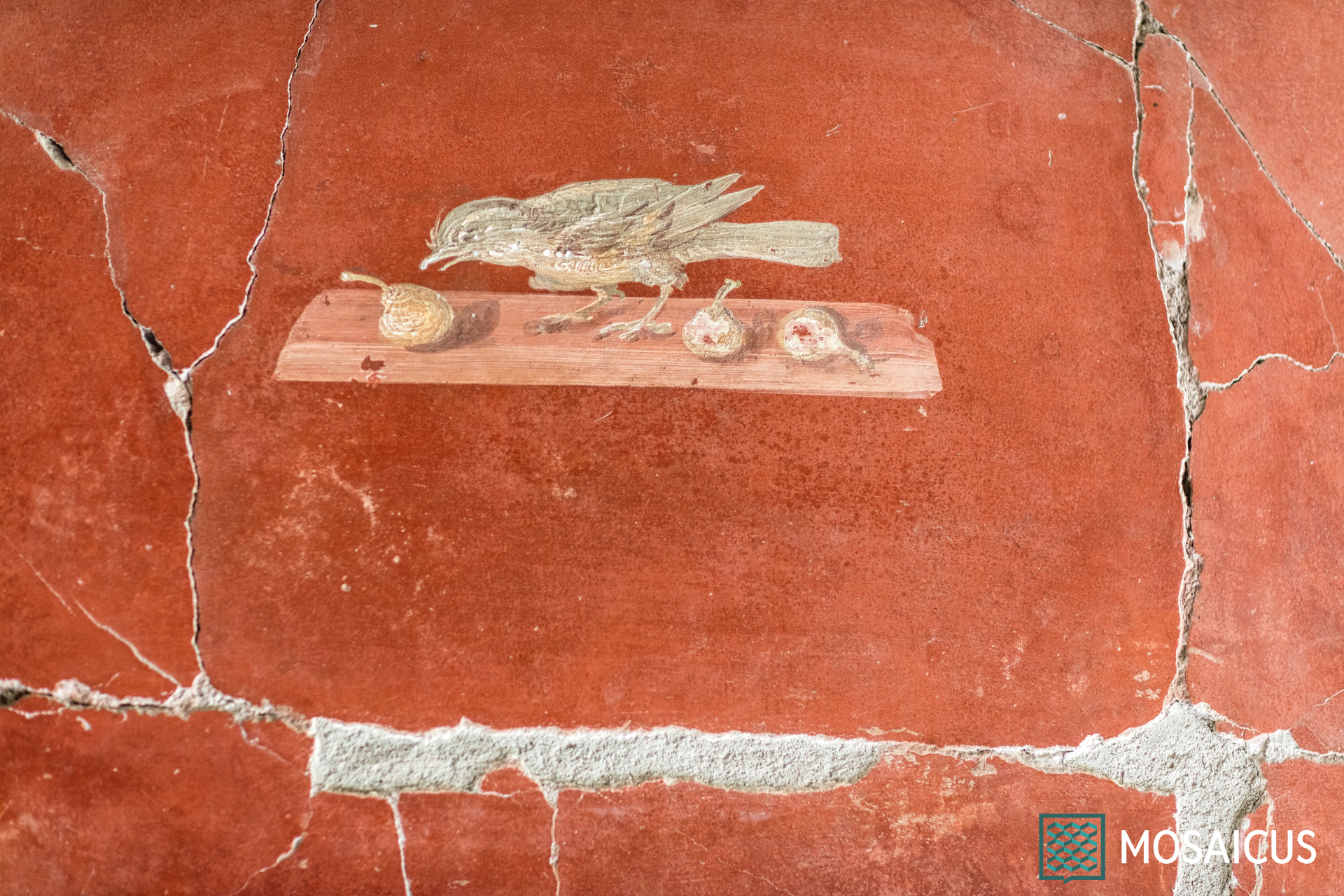 Visita guidata alla Villa di Poppea a Torre Annunziata​