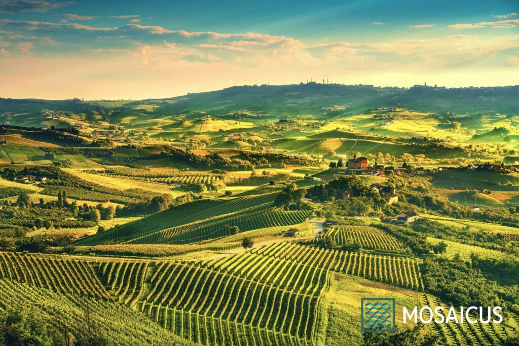 Colline delle Langhe