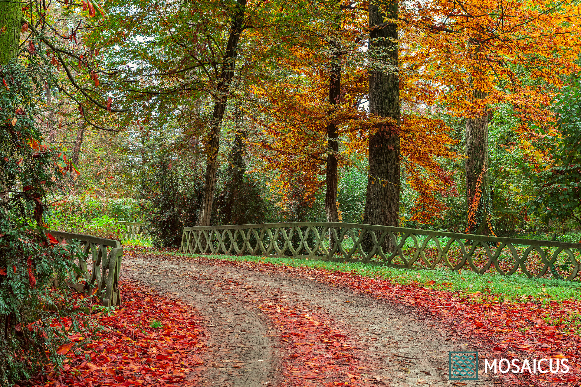 Racconigi, la città della seta