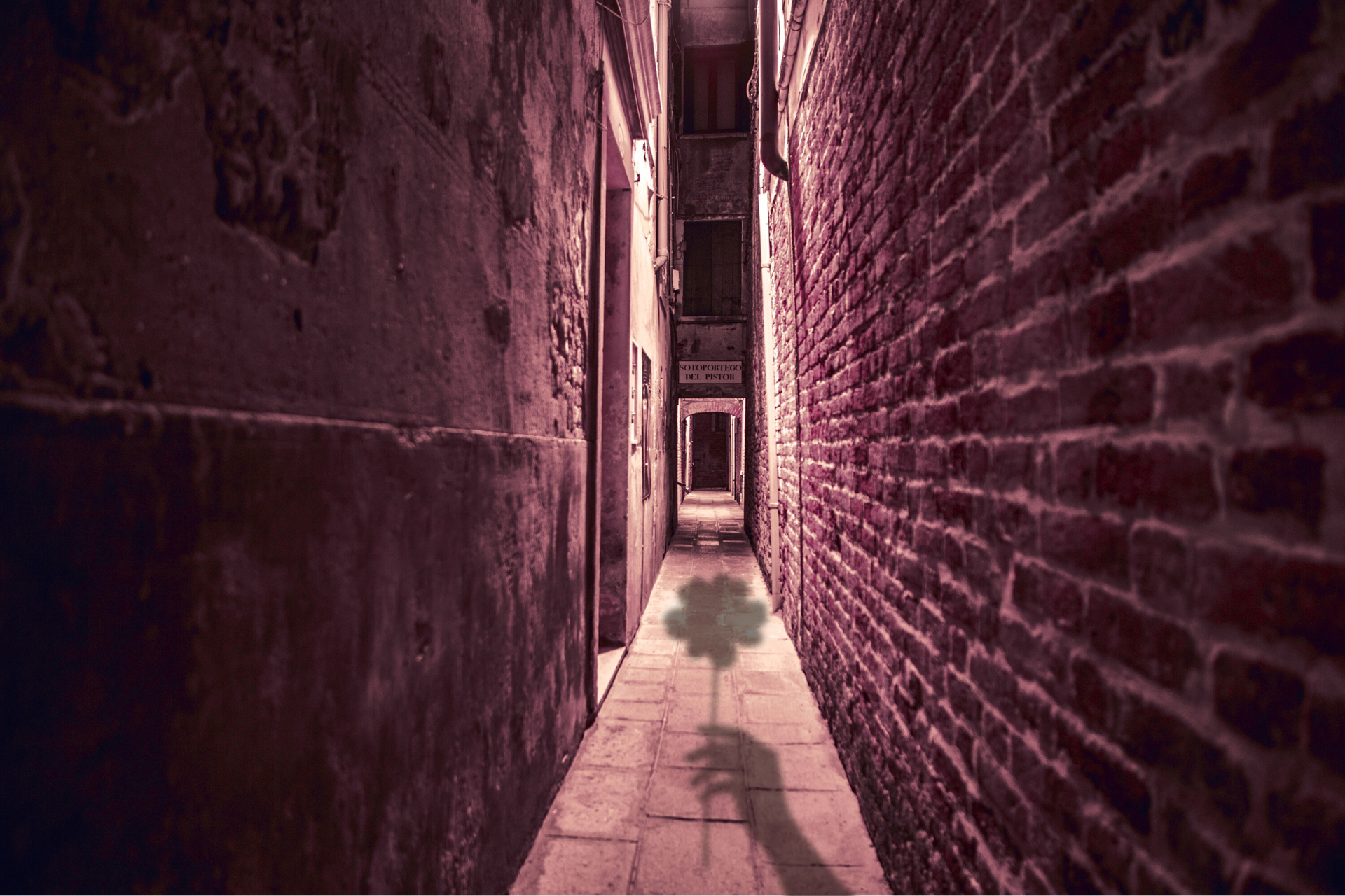 Venezia a luci rosse