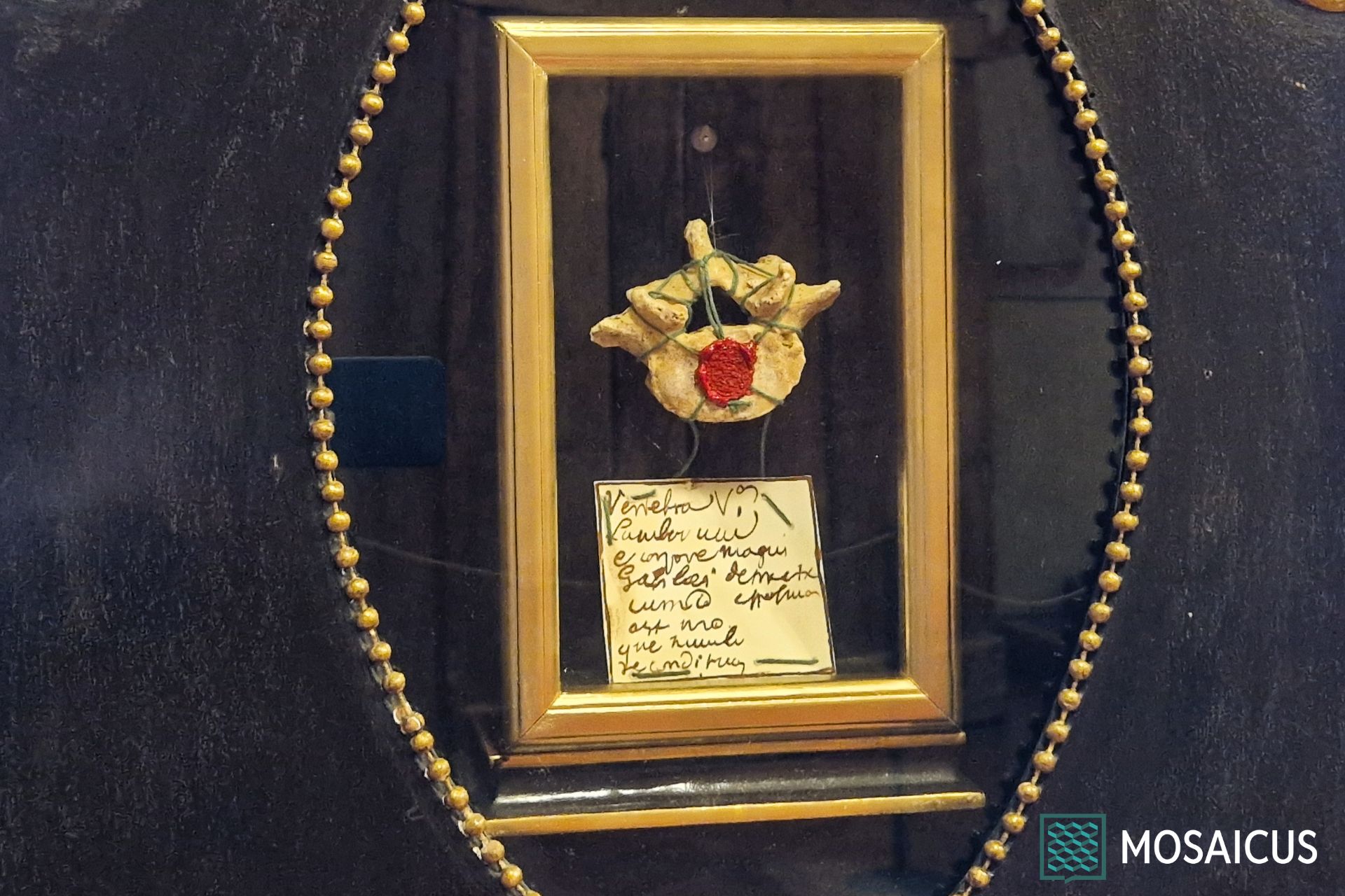 Visita guidata Galileo Padova