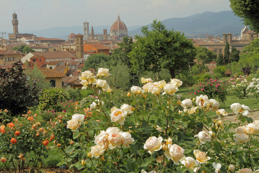 Giardino delle rose a Firenze