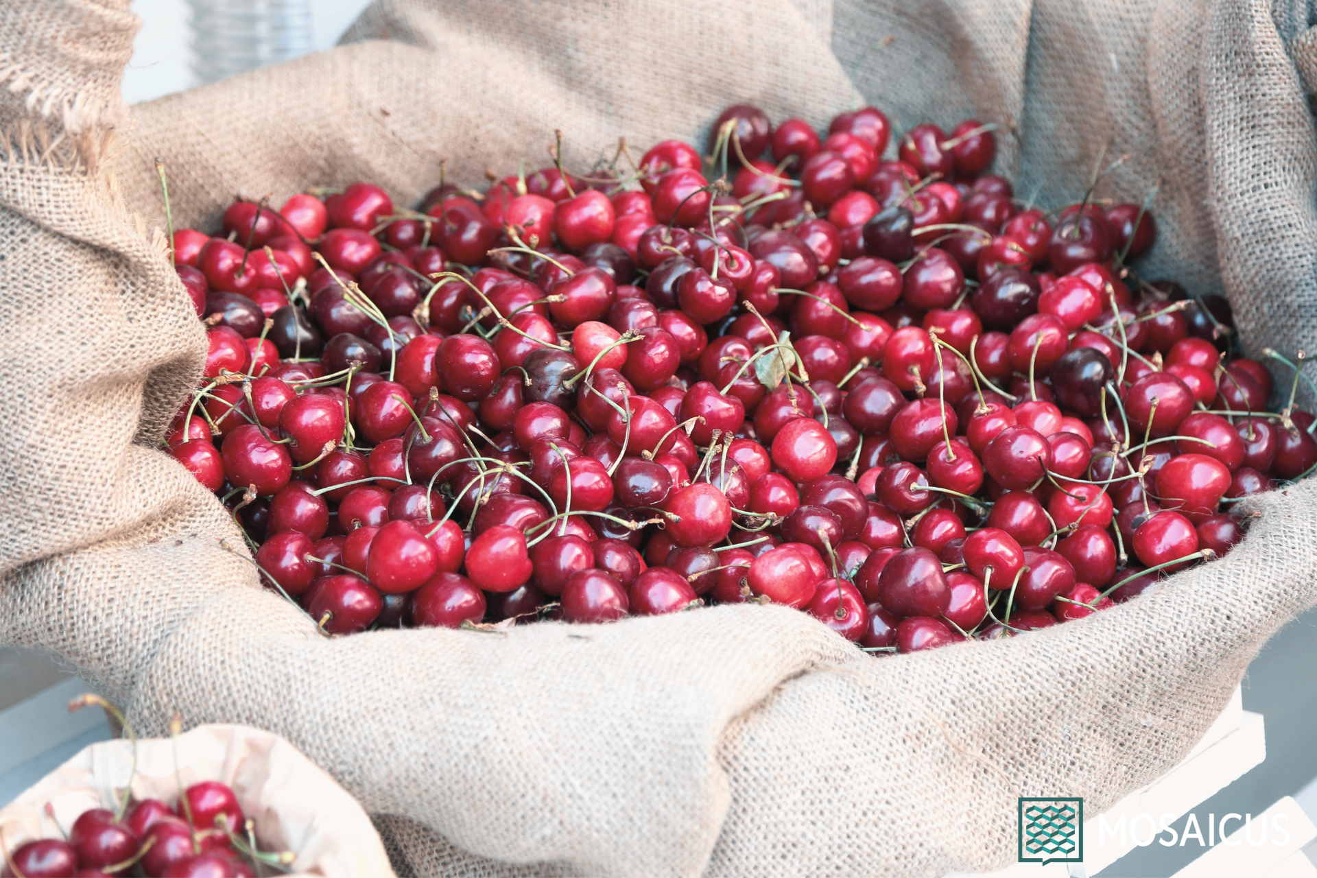 Visita guidata Marostica