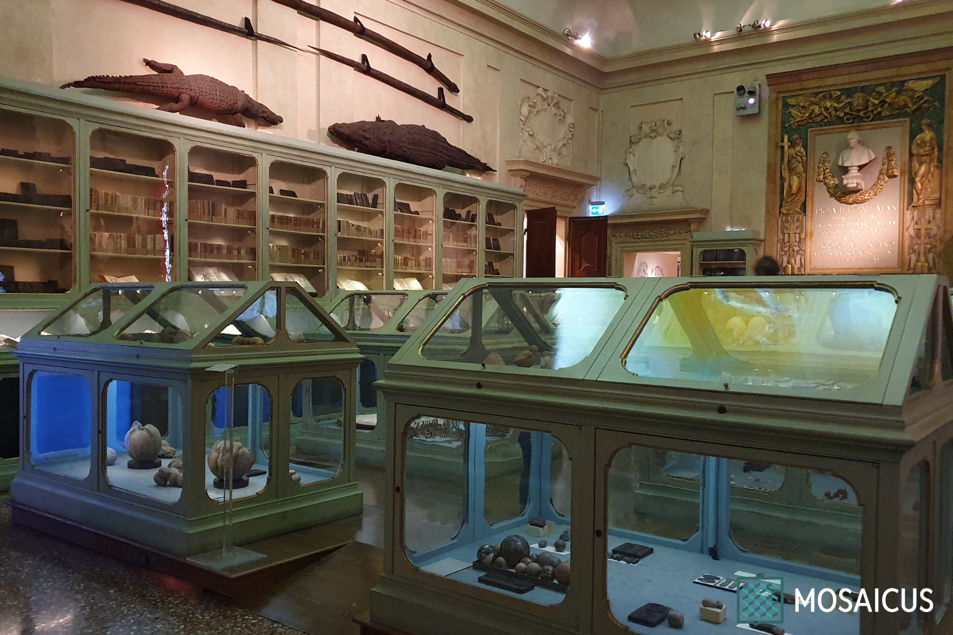 Museo Palazzo Poggi Bologna