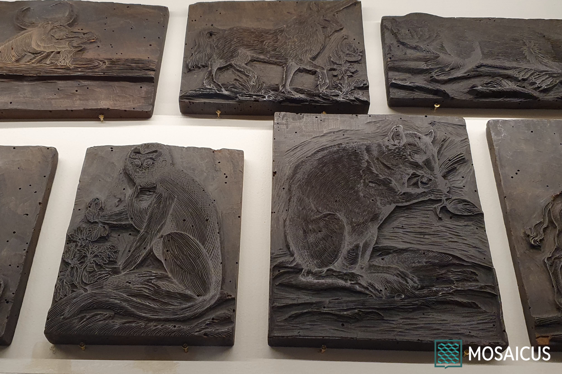 Museo Palazzo Poggi Bologna