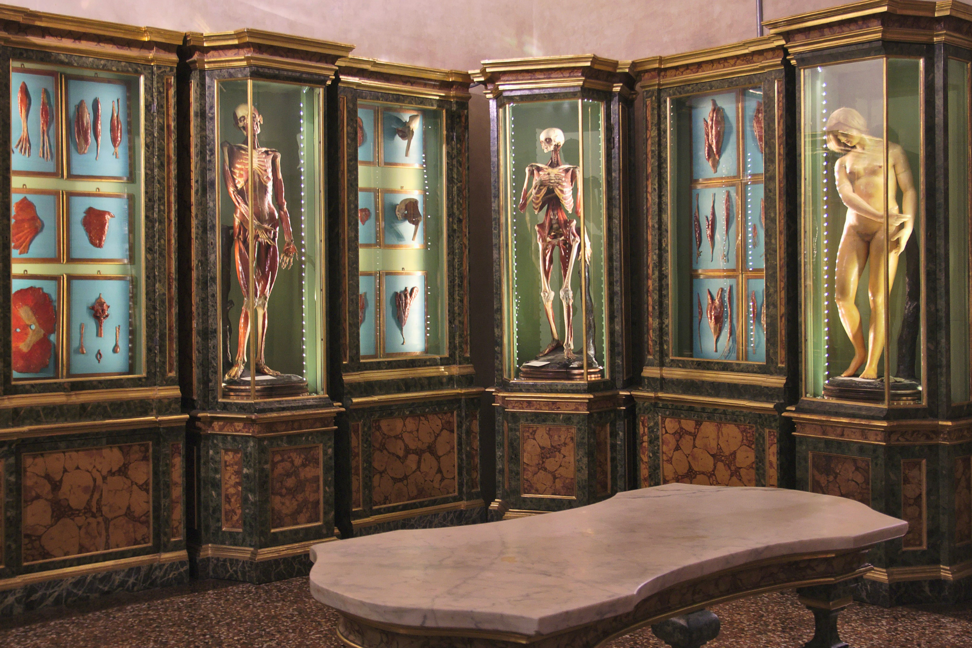 Museo Palazzo Poggi Bologna