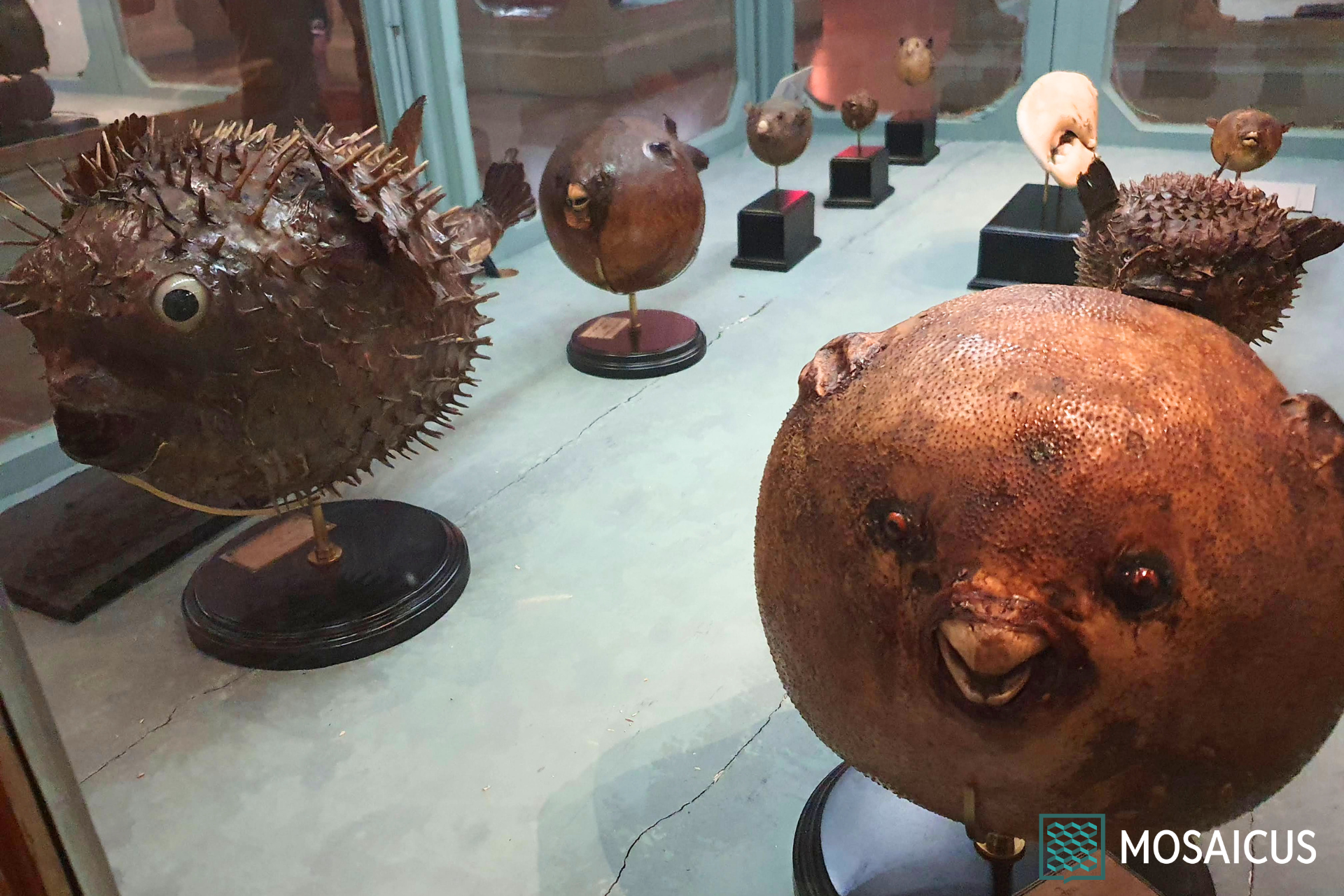 Museo Palazzo Poggi Bologna