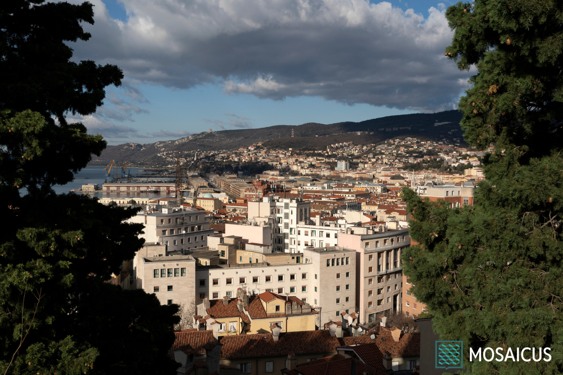 Visita guidata Trieste