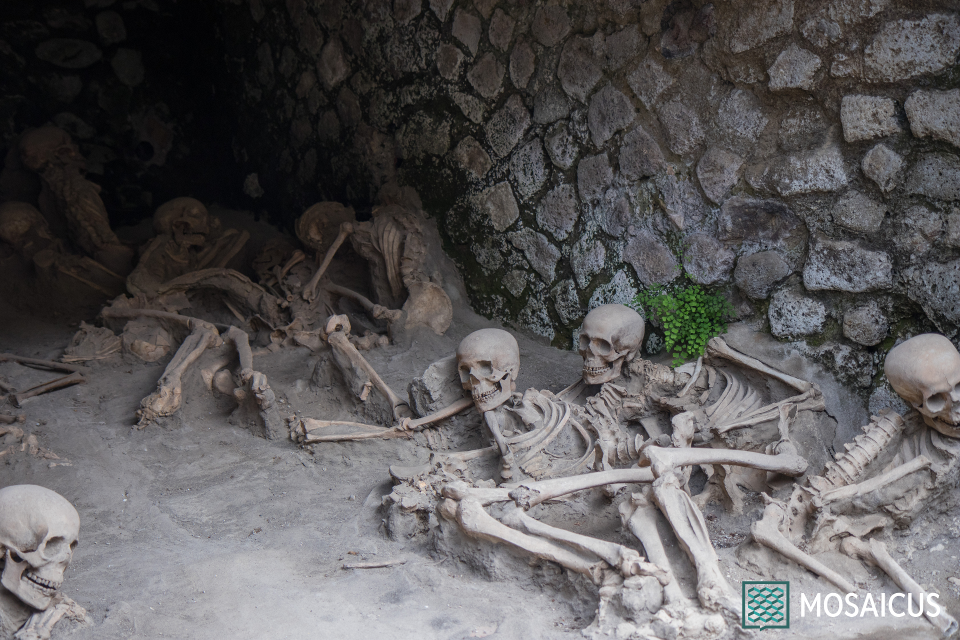 Parco Archeologico di Ercolano: scavi tra domus, Villa dei Papiri e reperti romani