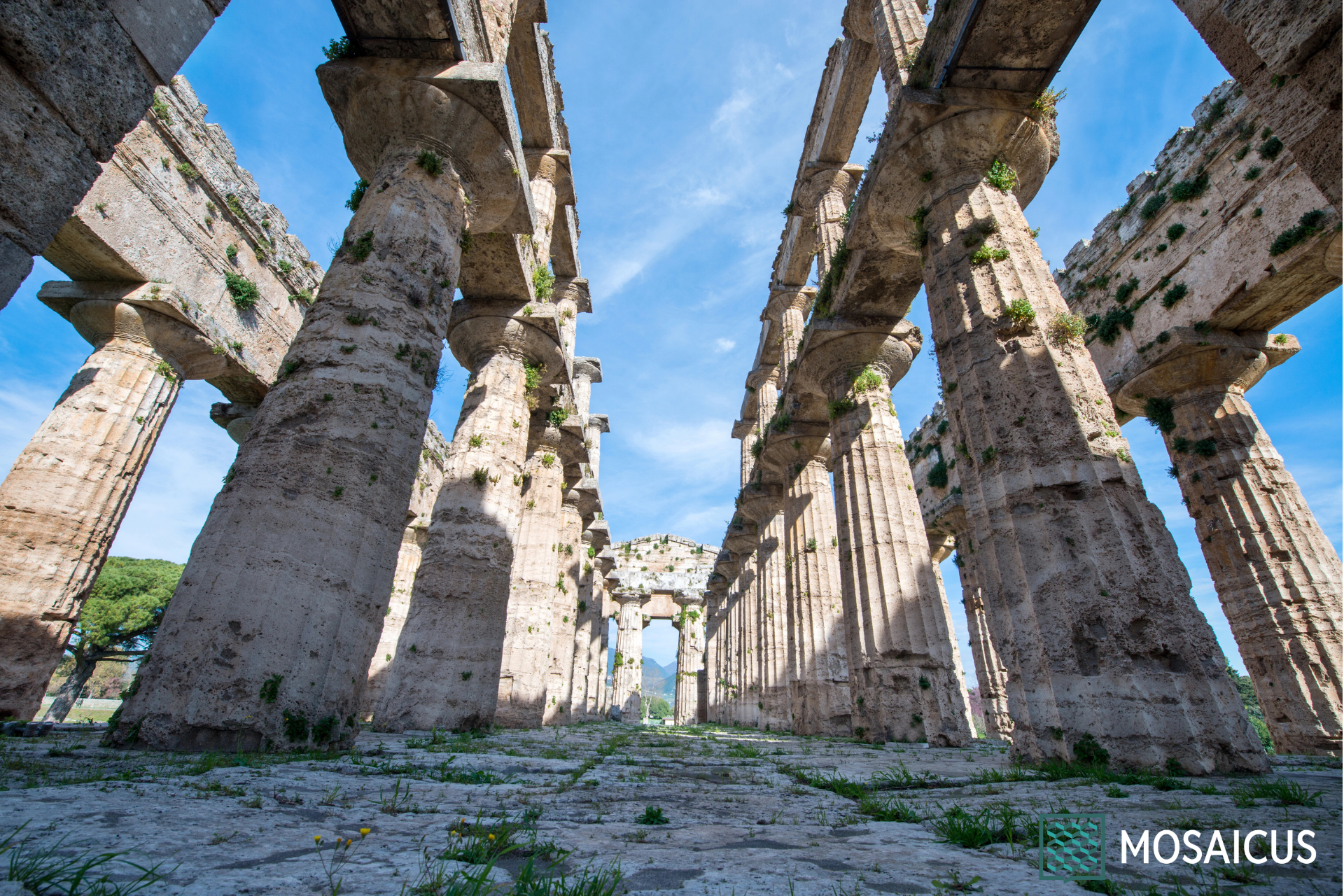 Visita guidata a Paestum