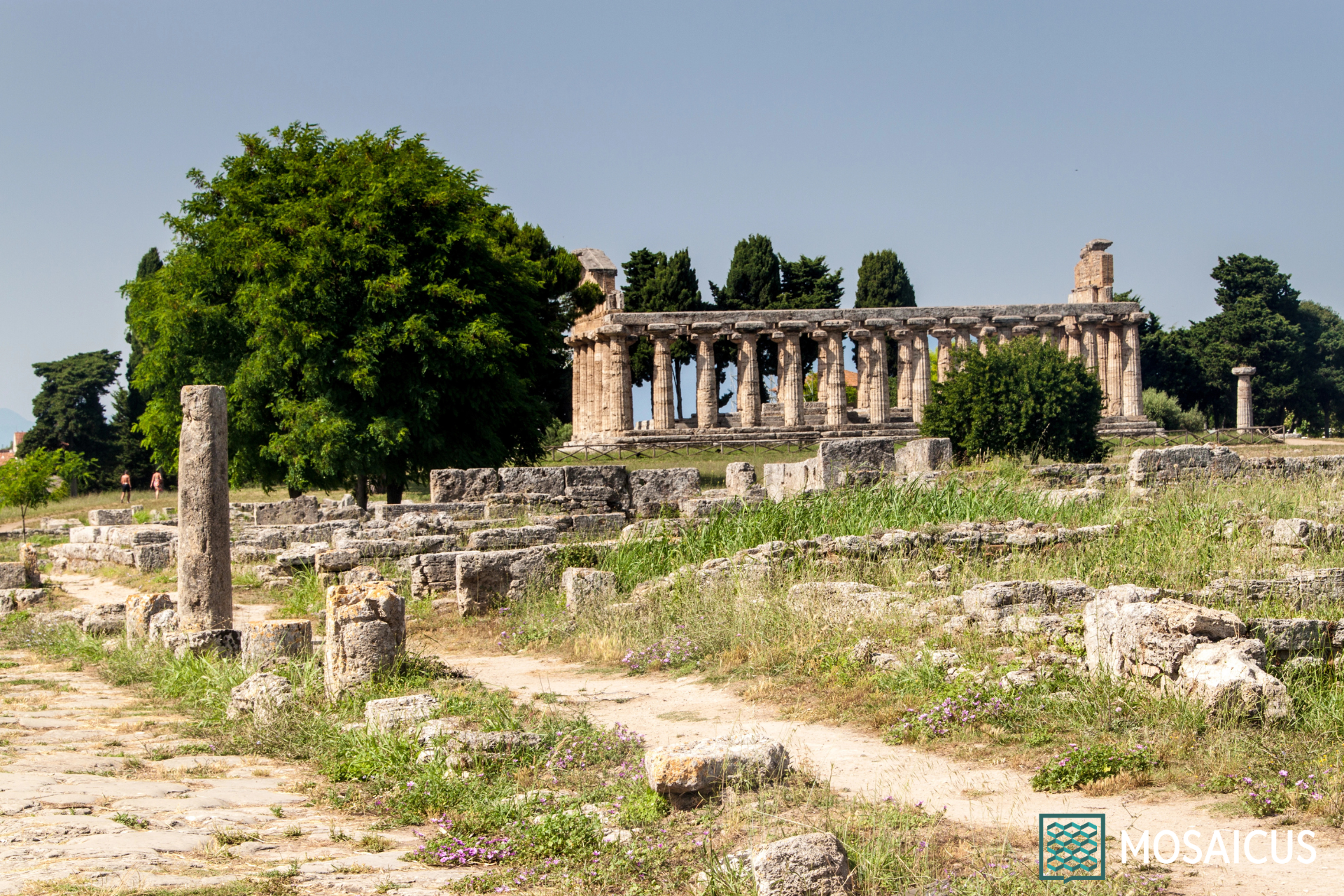 Visita guidata a Paestum