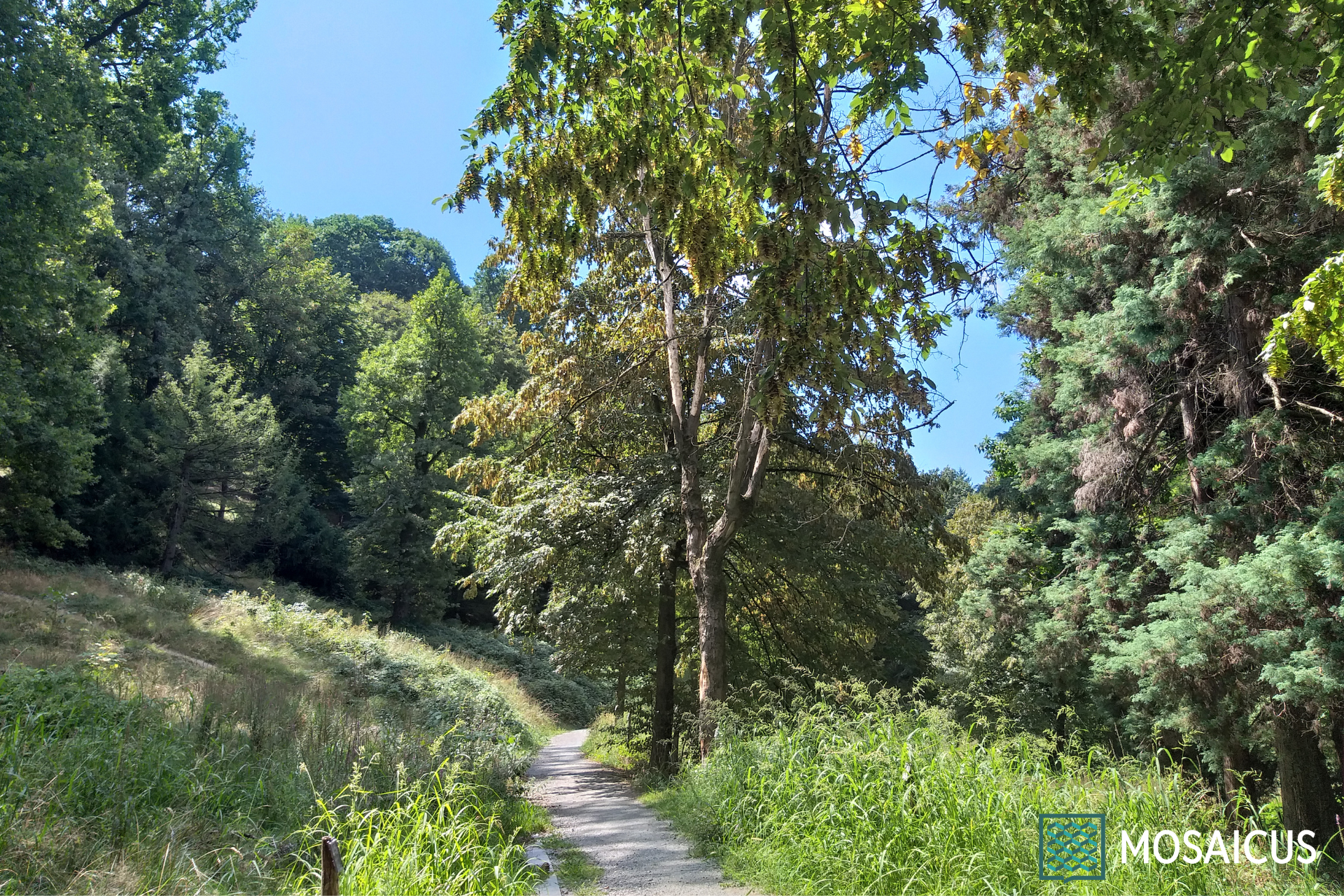 Visita guidata Bric Maddalena Arboretum Taurinense
