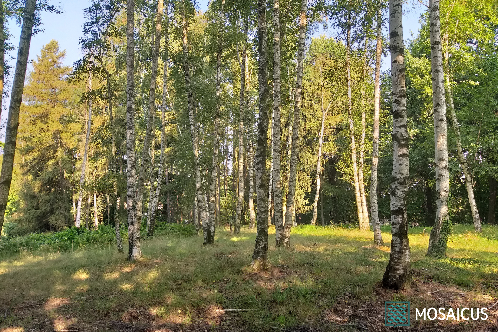 Visita guidata Bric Maddalena Arboretum Taurinense
