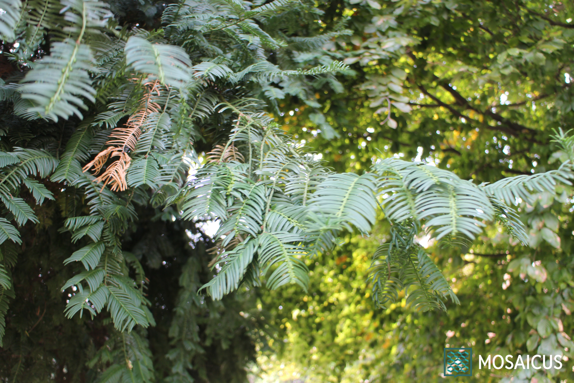 Visita guidata Giardini Storici Torino