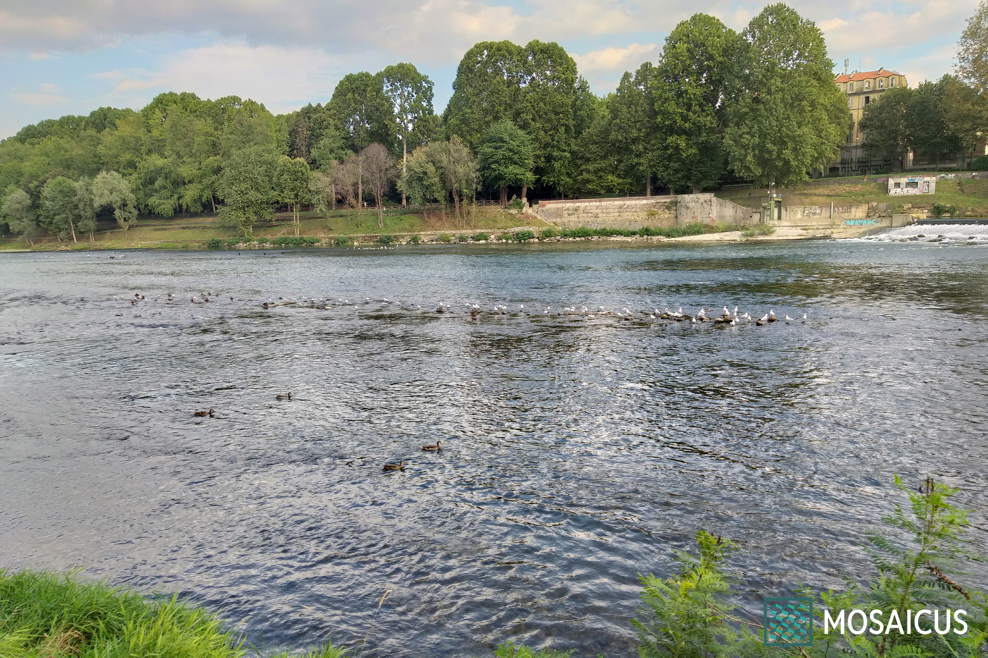 Il Po dei Re a Torino: visita guidata lungo il fiume