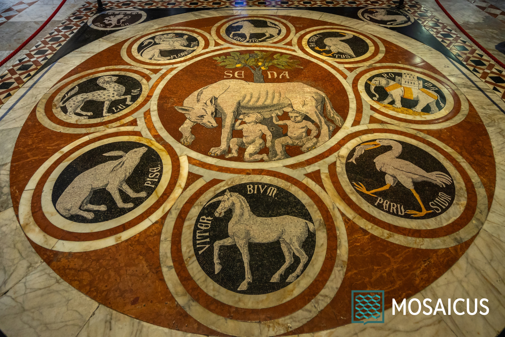 Visita guidata Pavimento Duomo Siena
