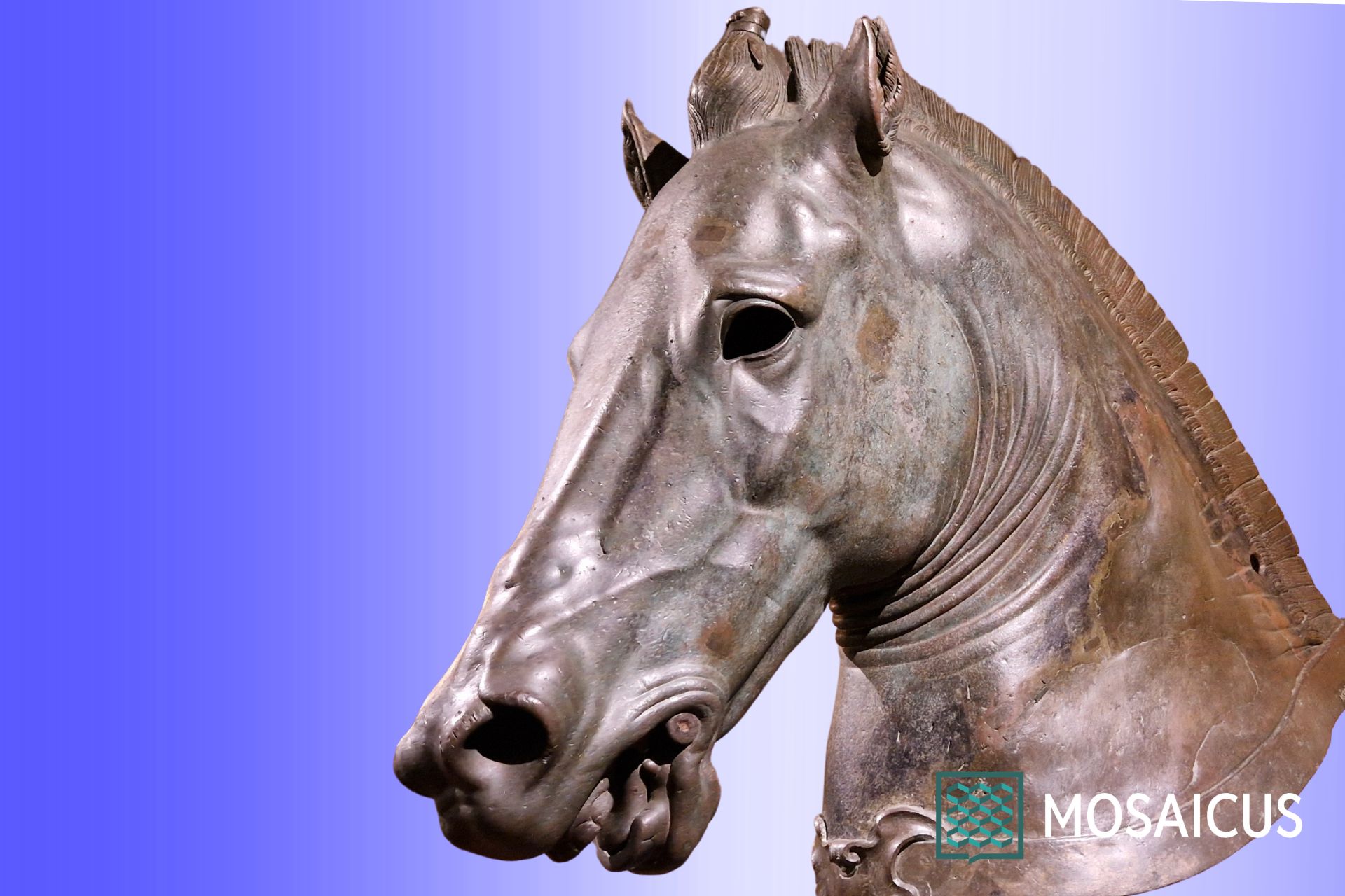 Visita guidata Museo Archeologico Firenze
