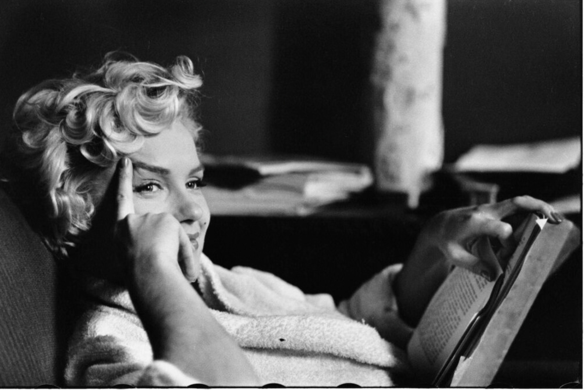 Visita guidata Mostra Erwitt Bologna