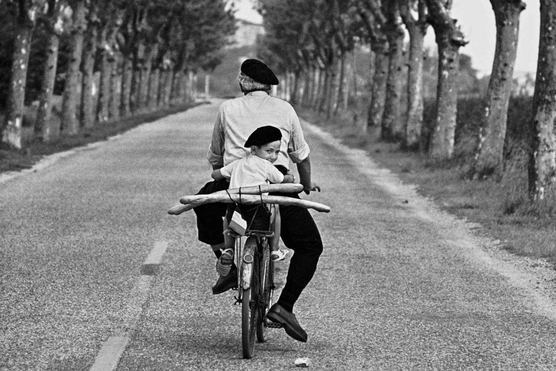 Visita guidata Mostra Erwitt Bologna