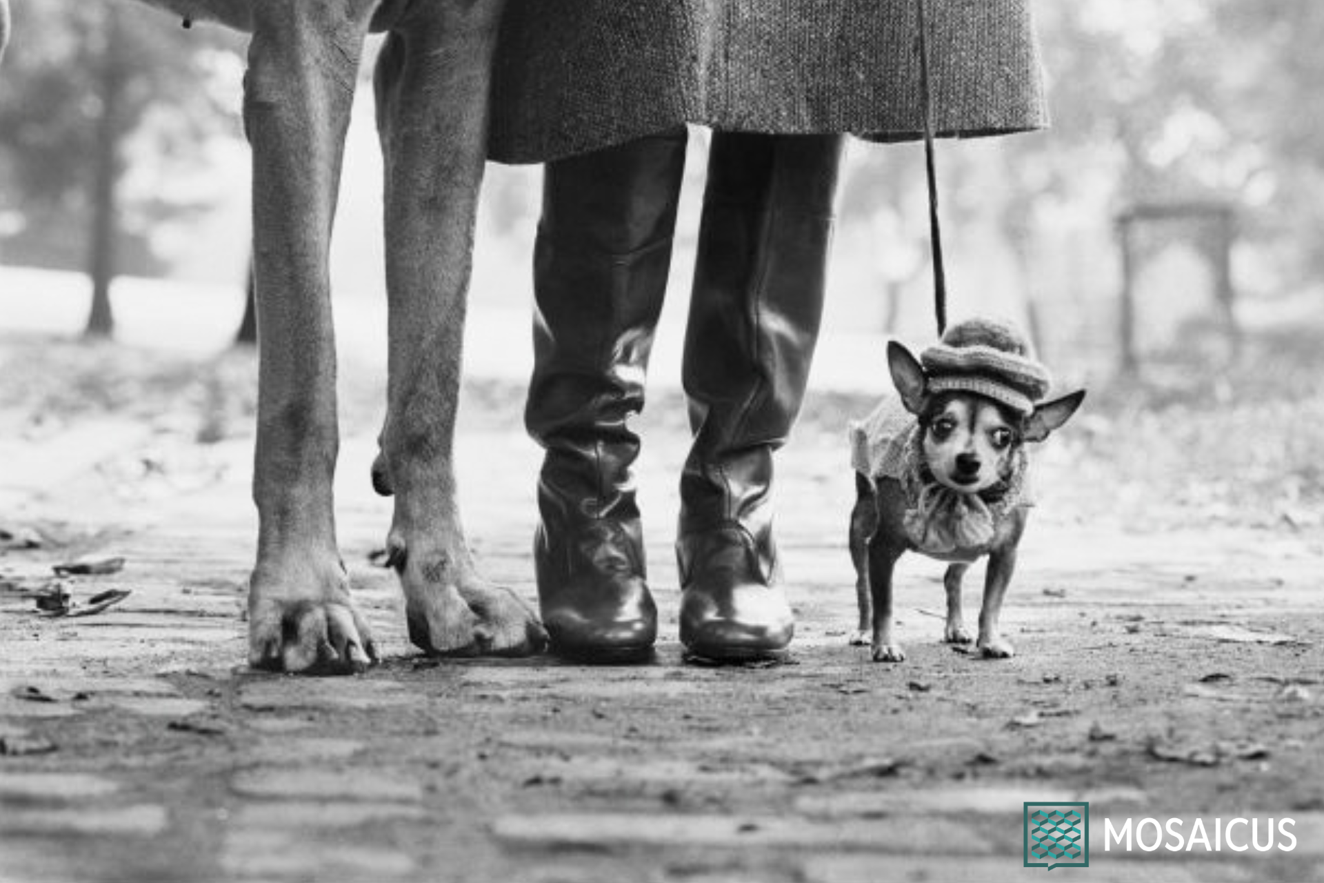 Visita guidata Mostra Erwitt Bologna