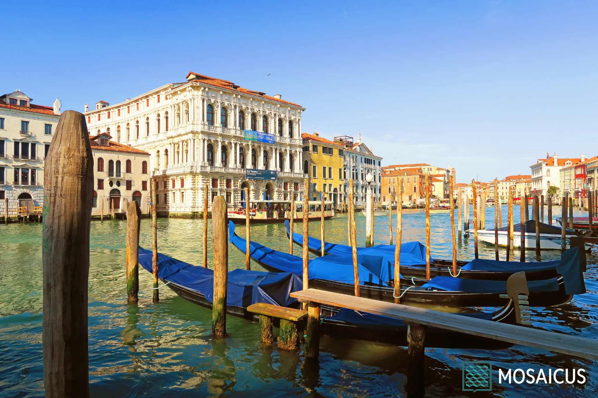 Visita guidata Ca Pesaro Venezia