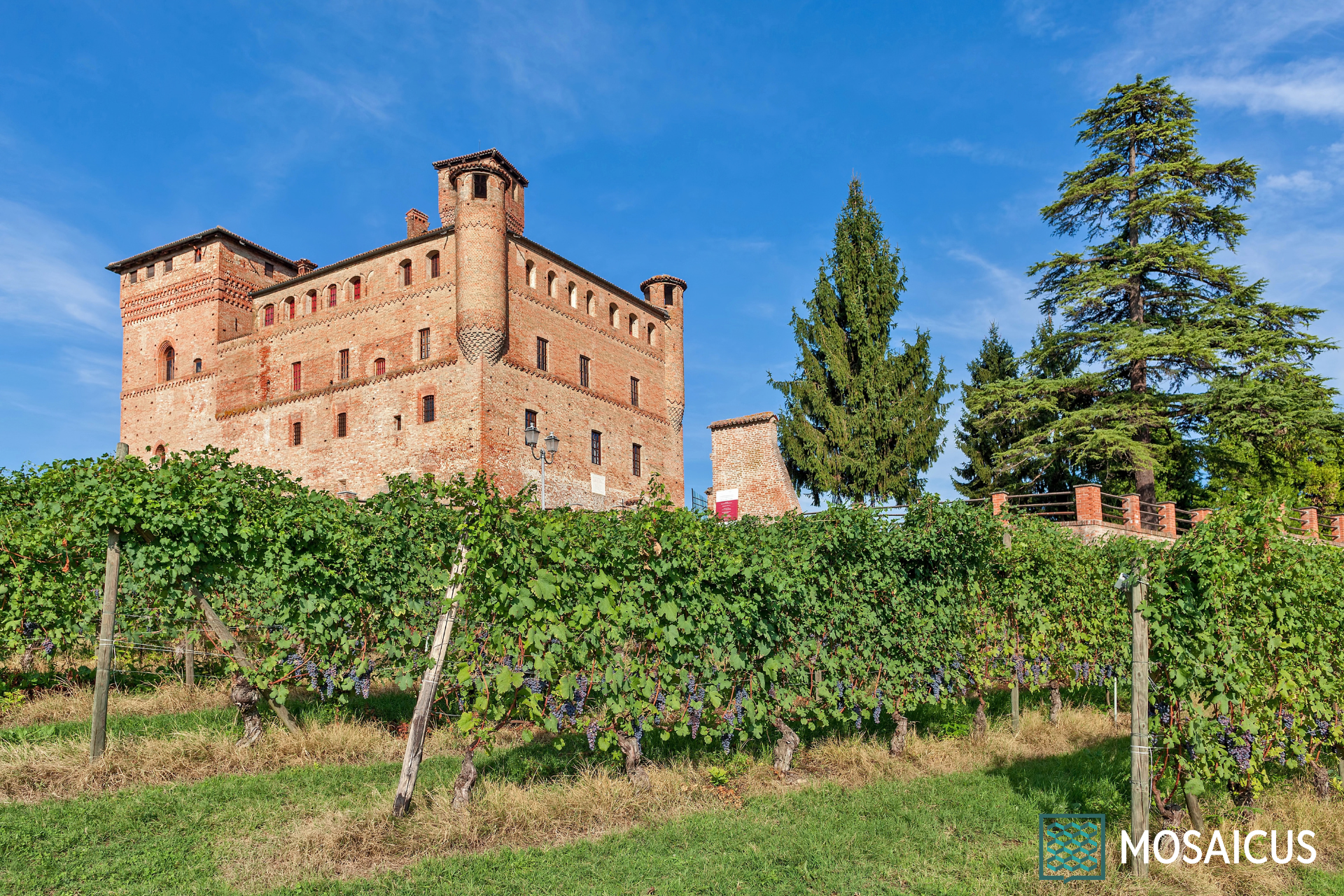 Visita guidata Castello Grinzane Cavour