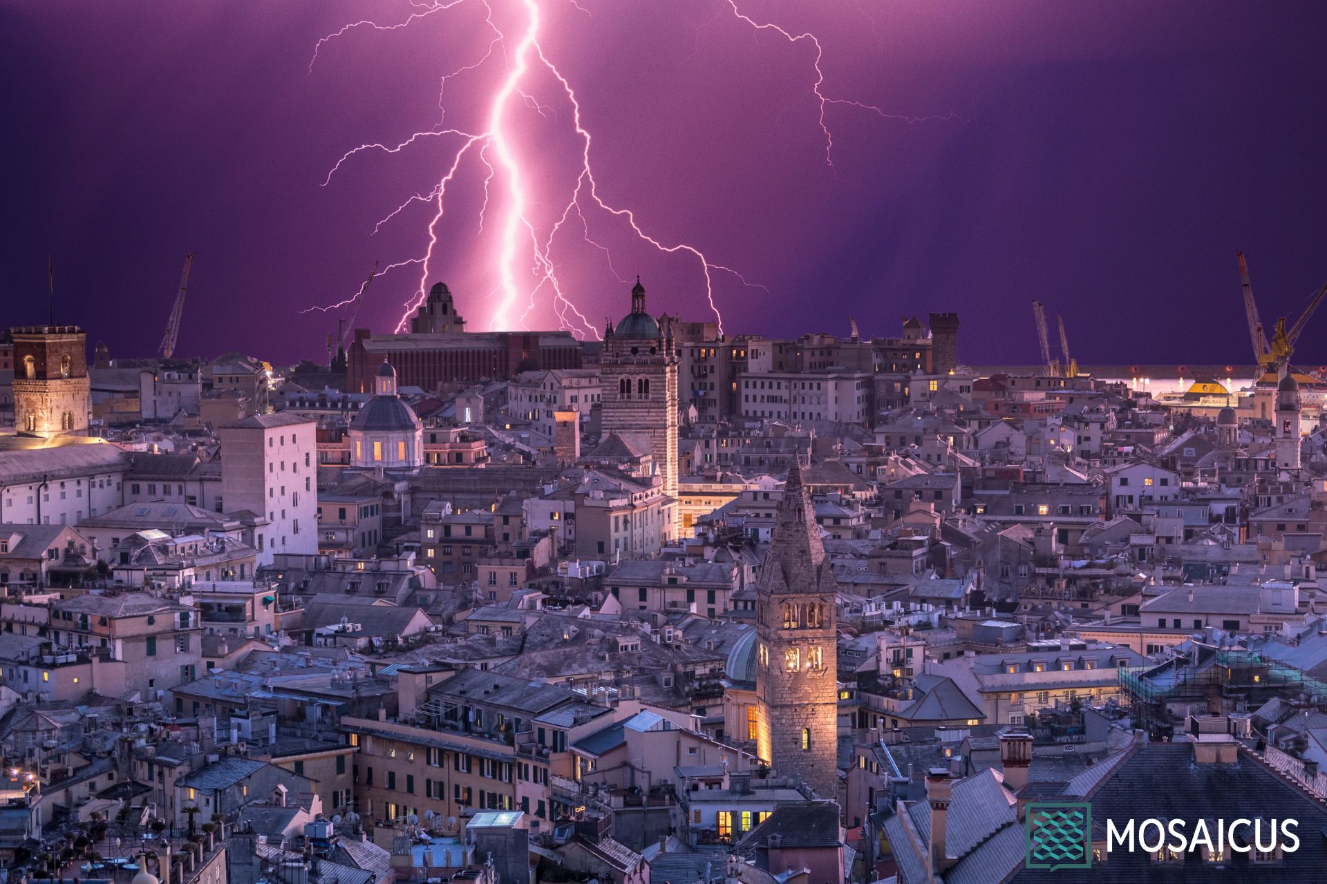 Genova noir (3)